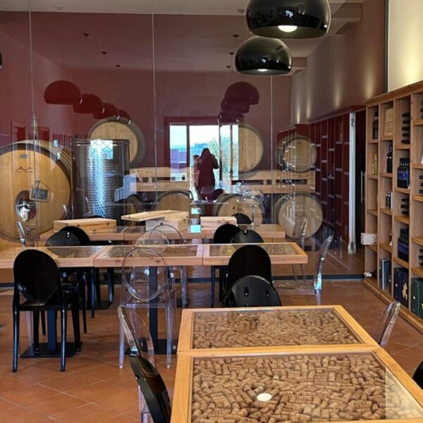 Wine Wonders Tasting Experience Near Pisa