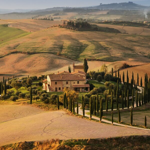 Enchanting Orcia Guided Tour & Wine Tasting