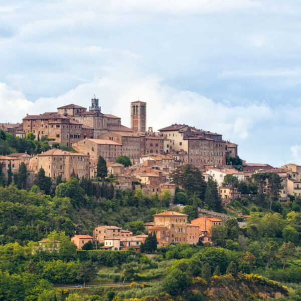 Montepulciano Mastery